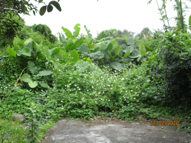 圖片已下架