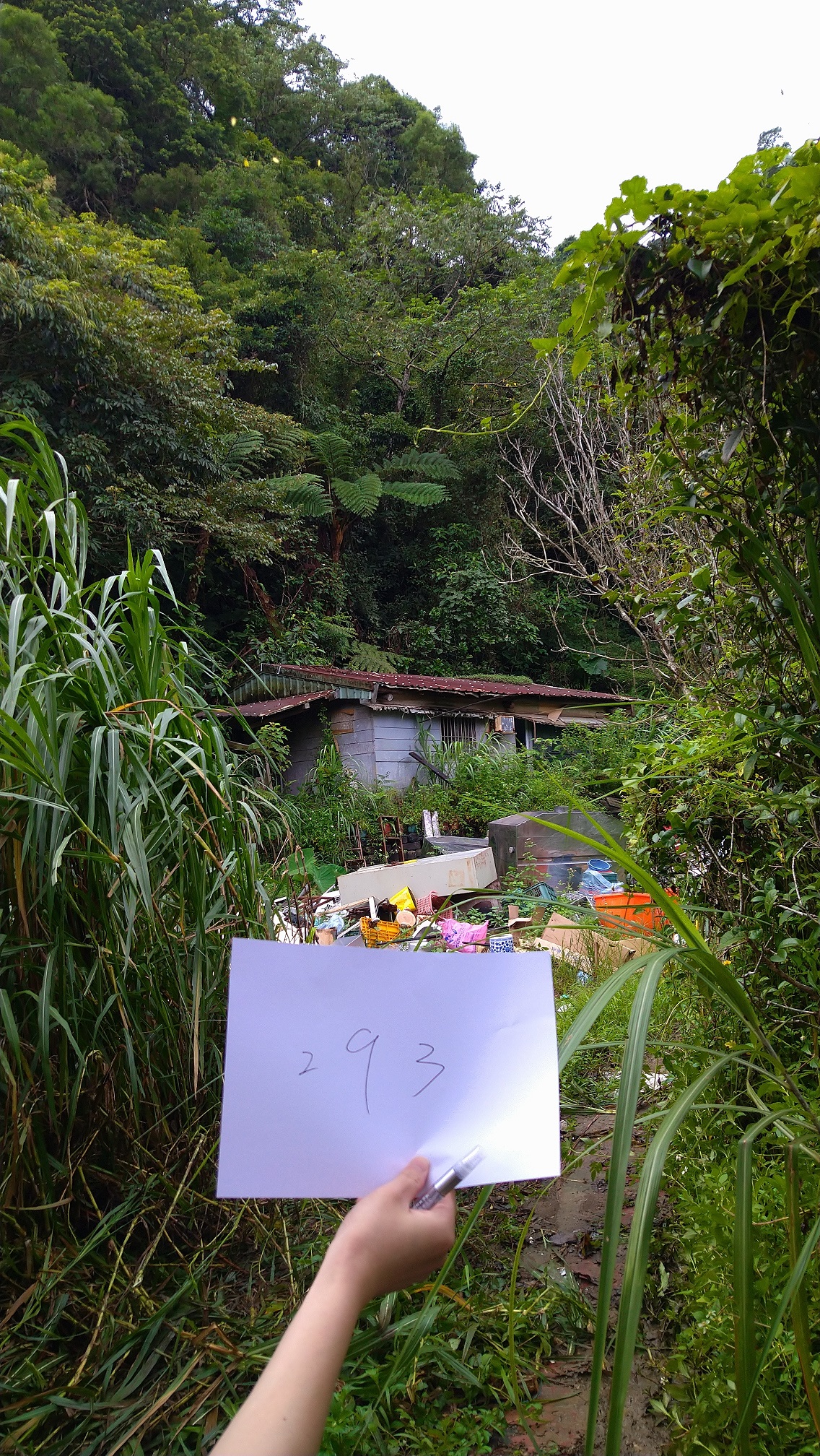 圖片已下架
