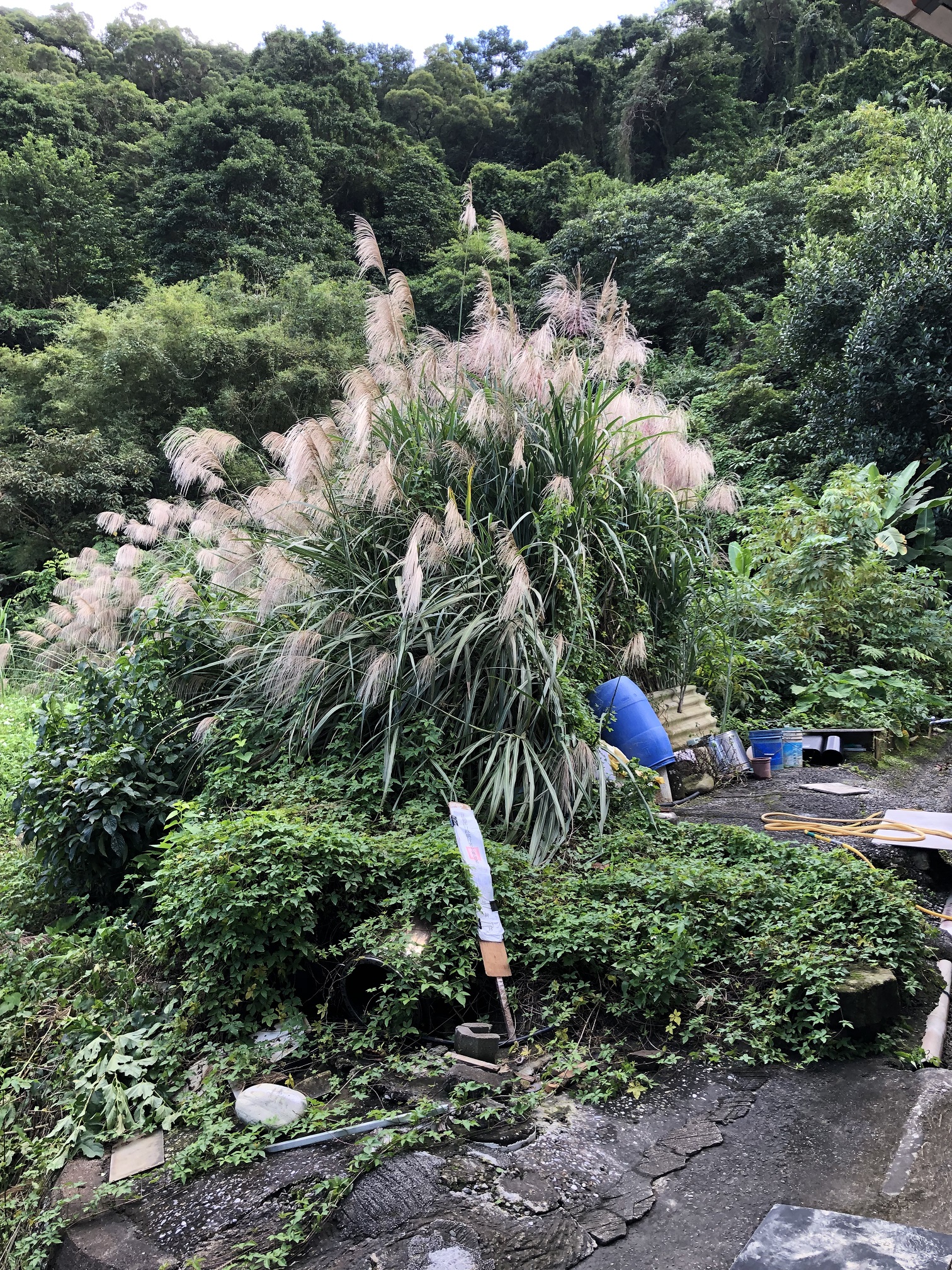 圖片已下架