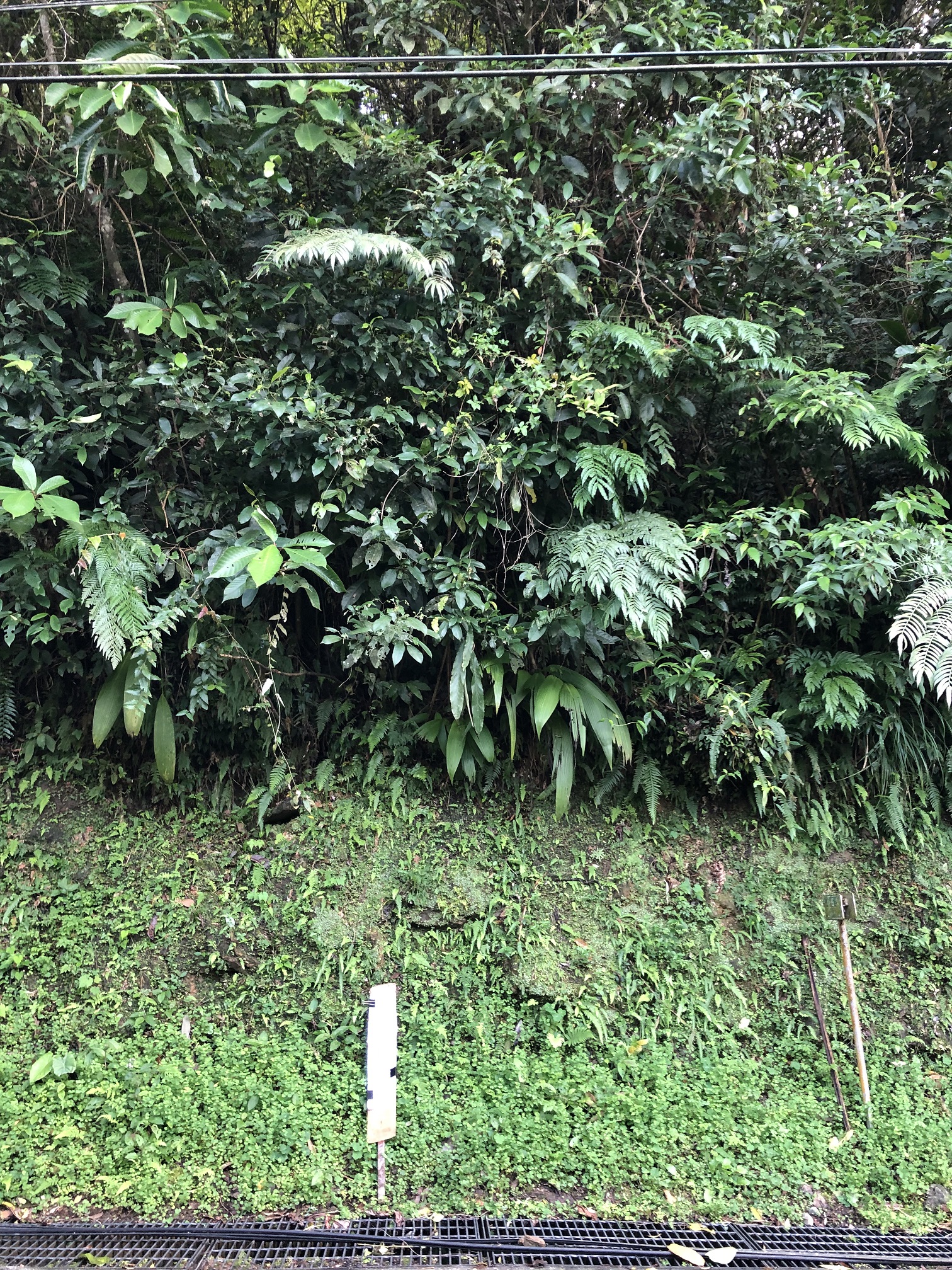 圖片已下架