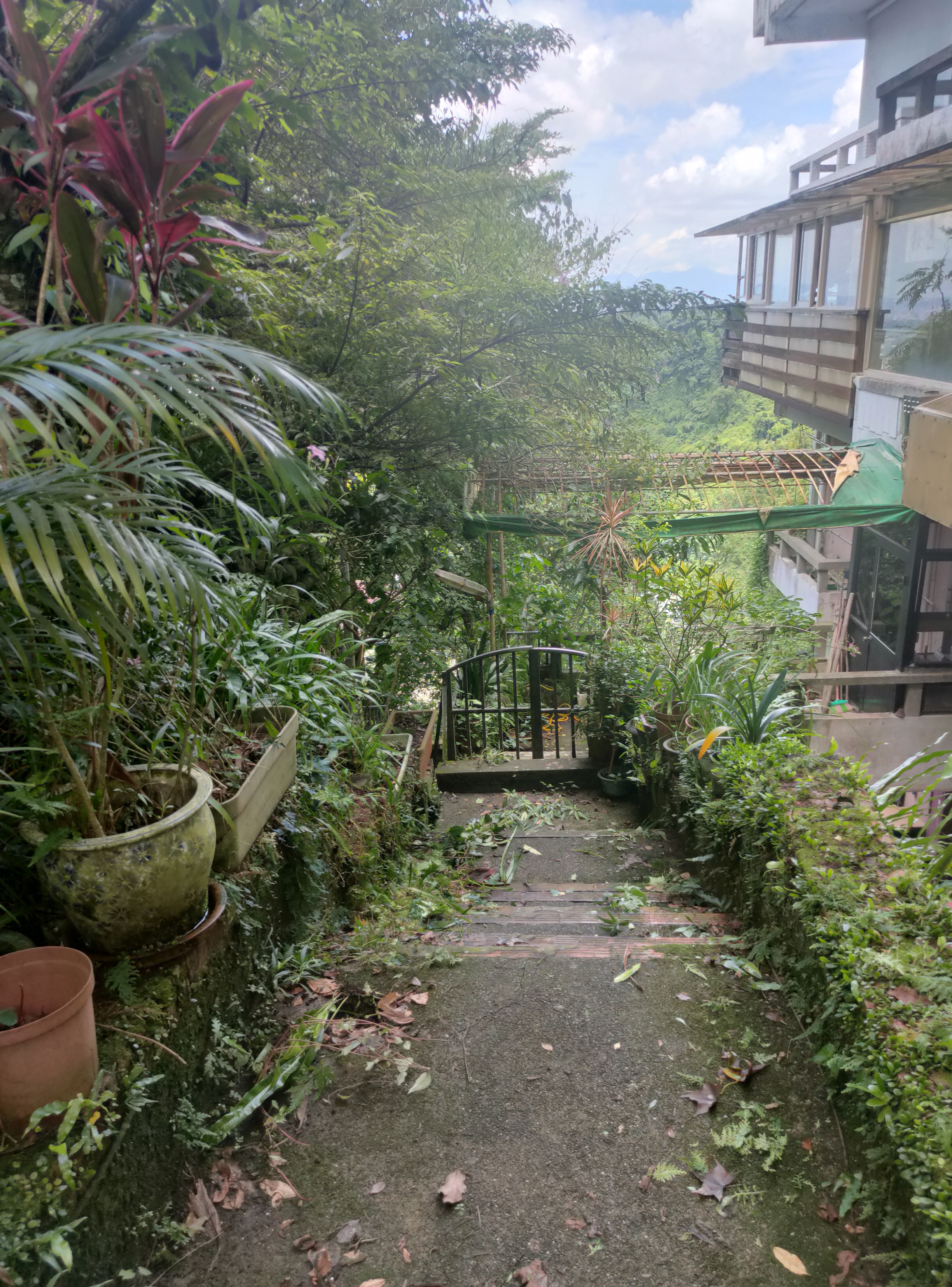 圖片已下架