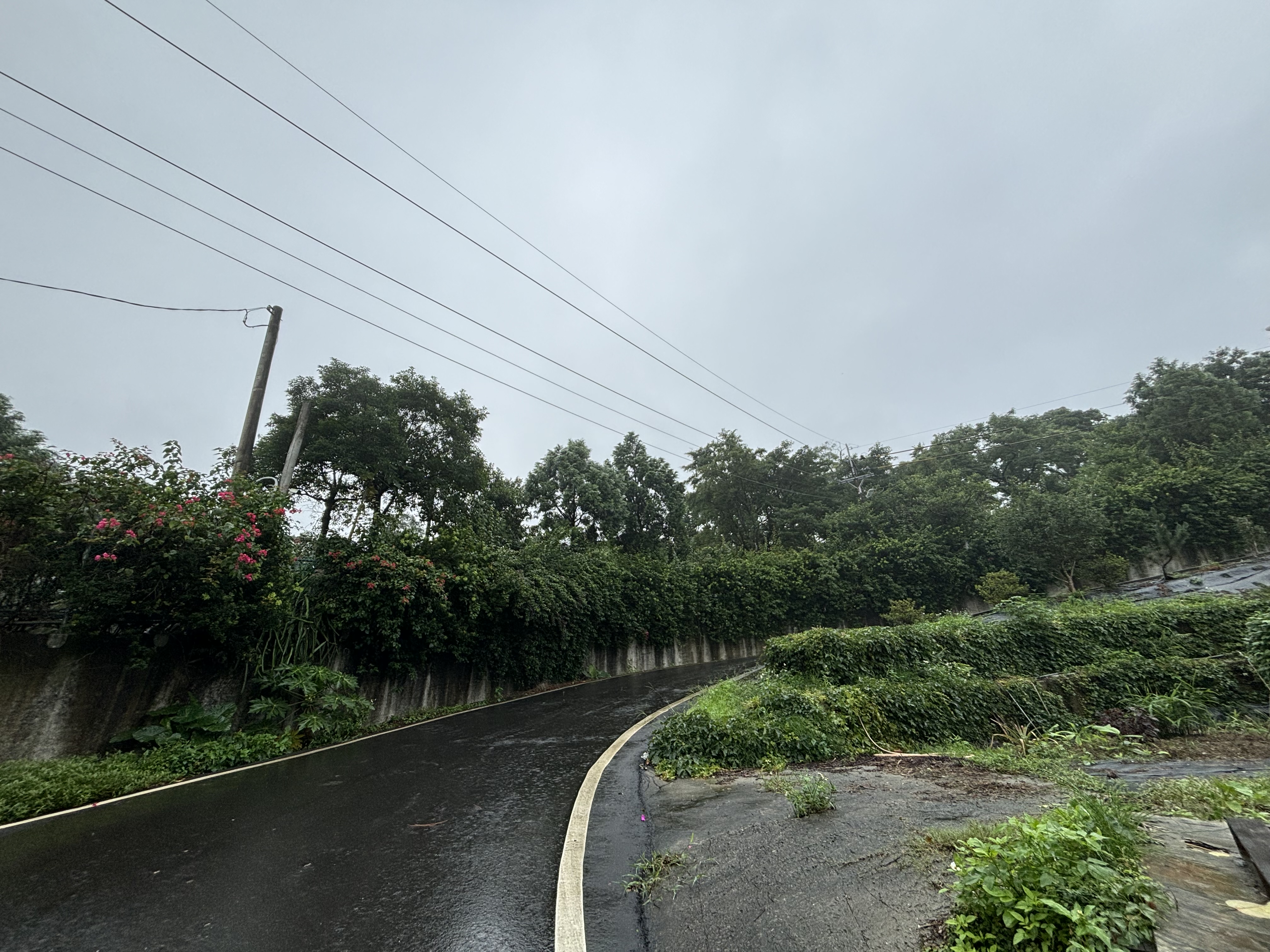 圖片已下架