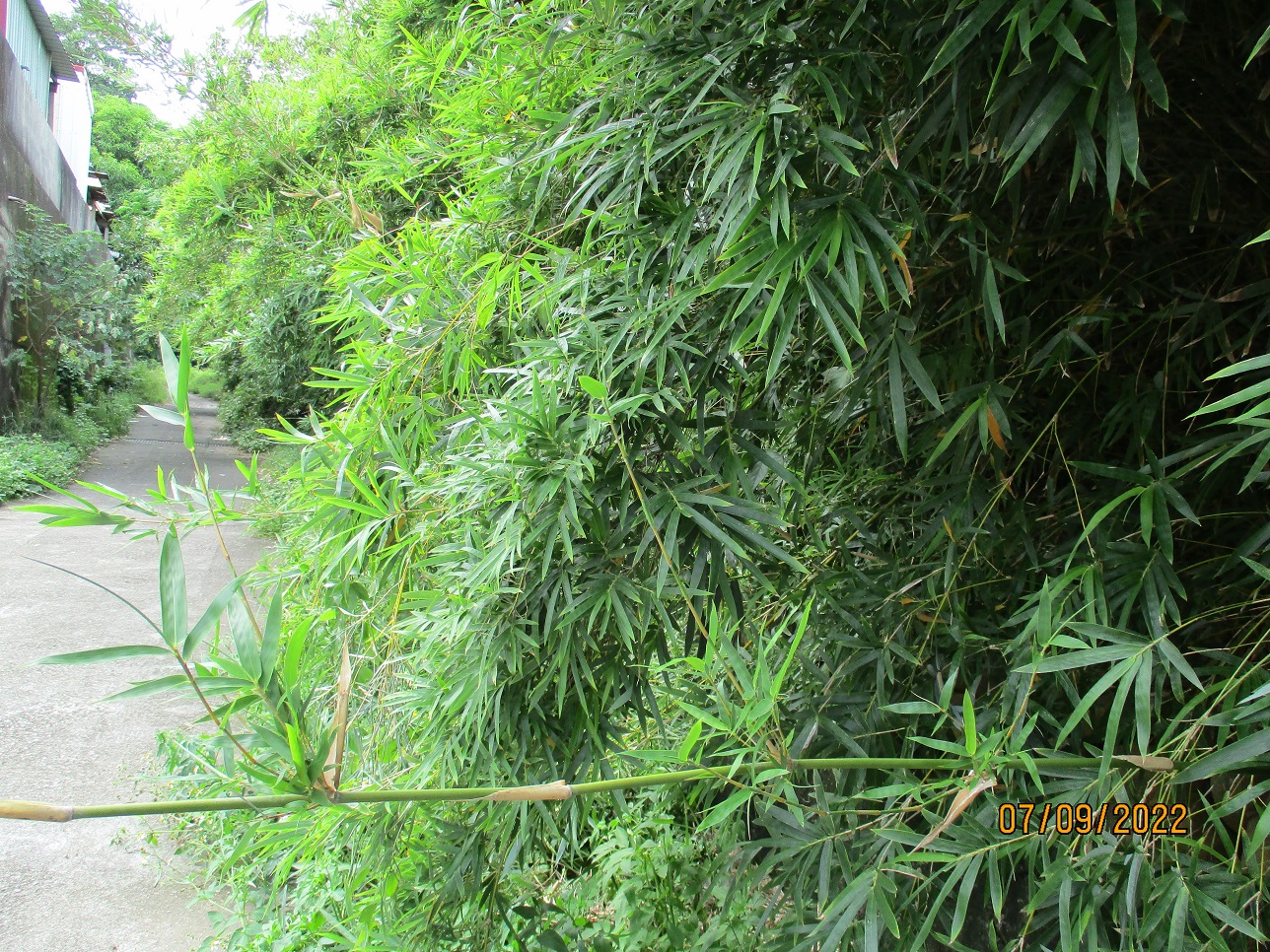 圖片已下架