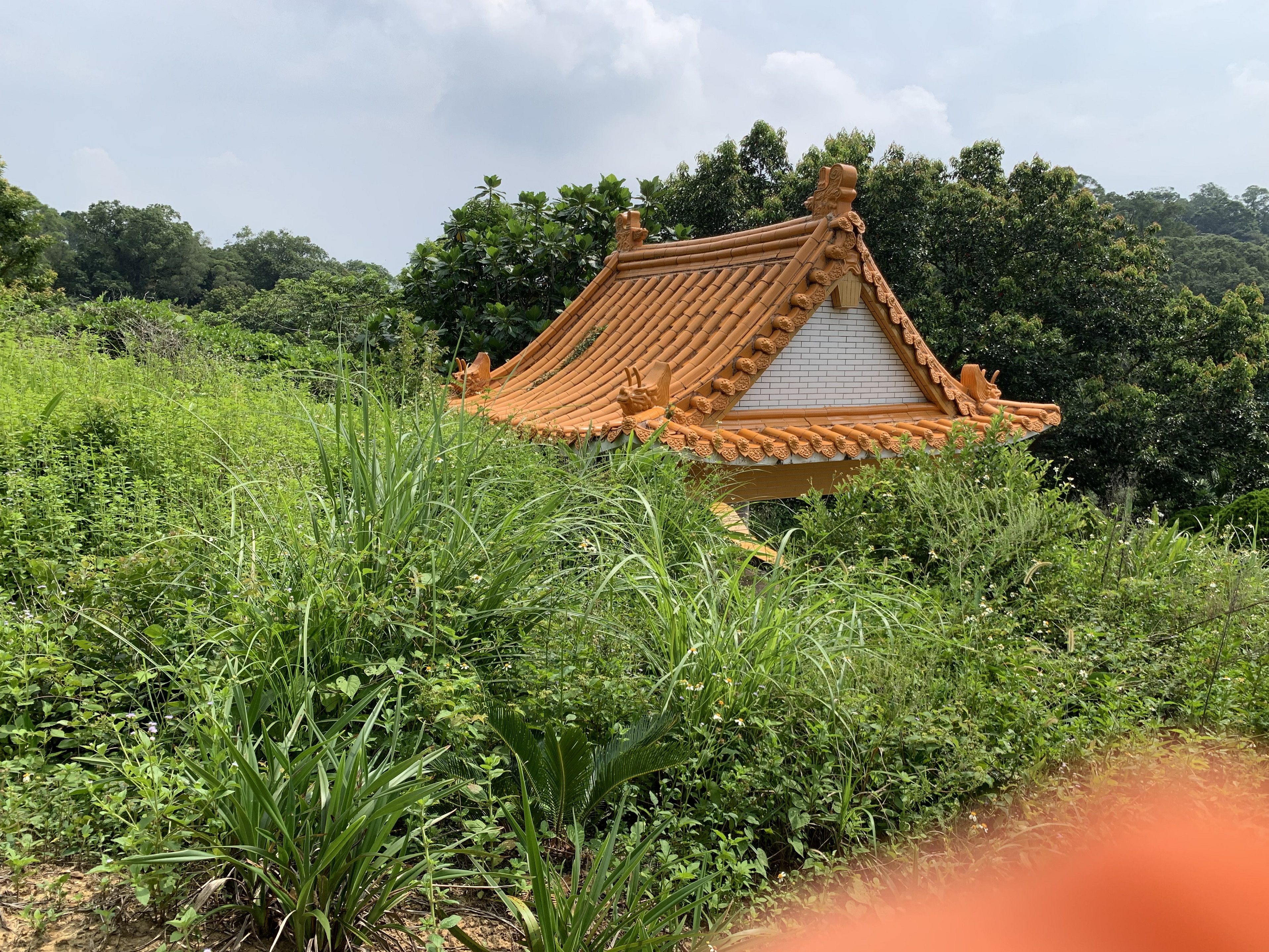 圖片已下架