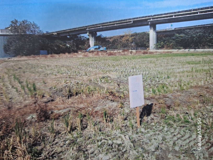 圖片已下架