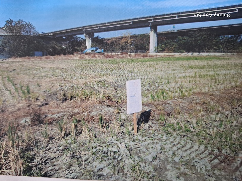 圖片已下架