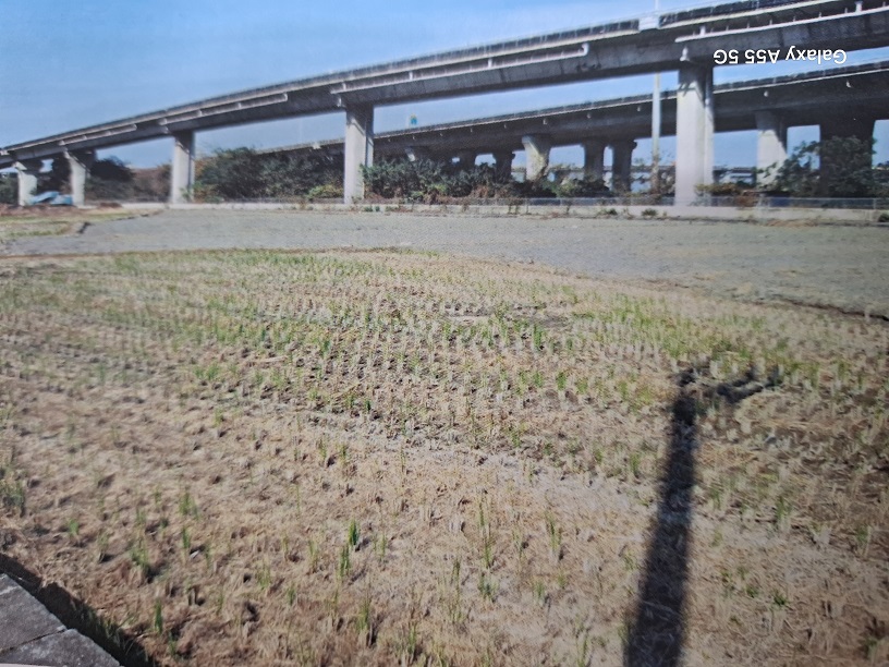 圖片已下架