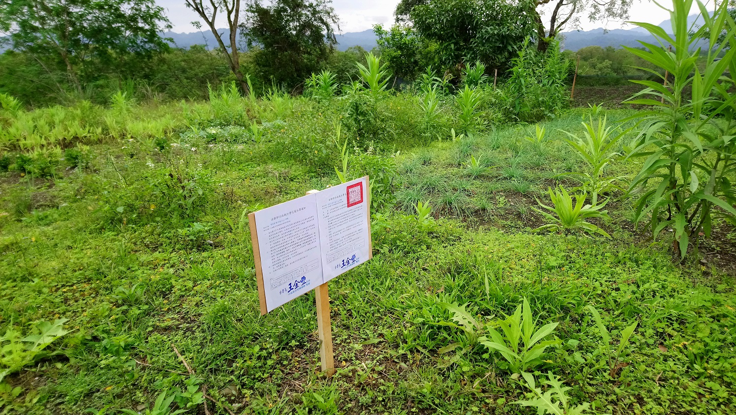 圖片已下架