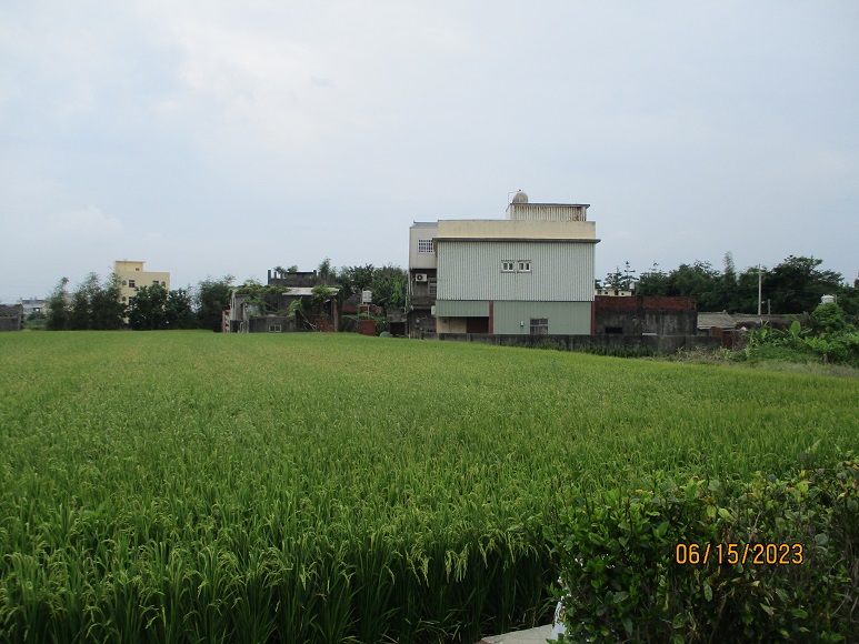圖片已下架