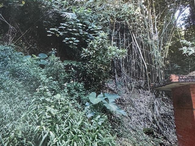 圖片已下架
