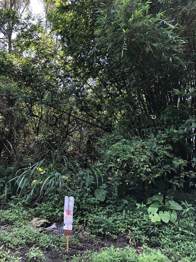 圖片已下架