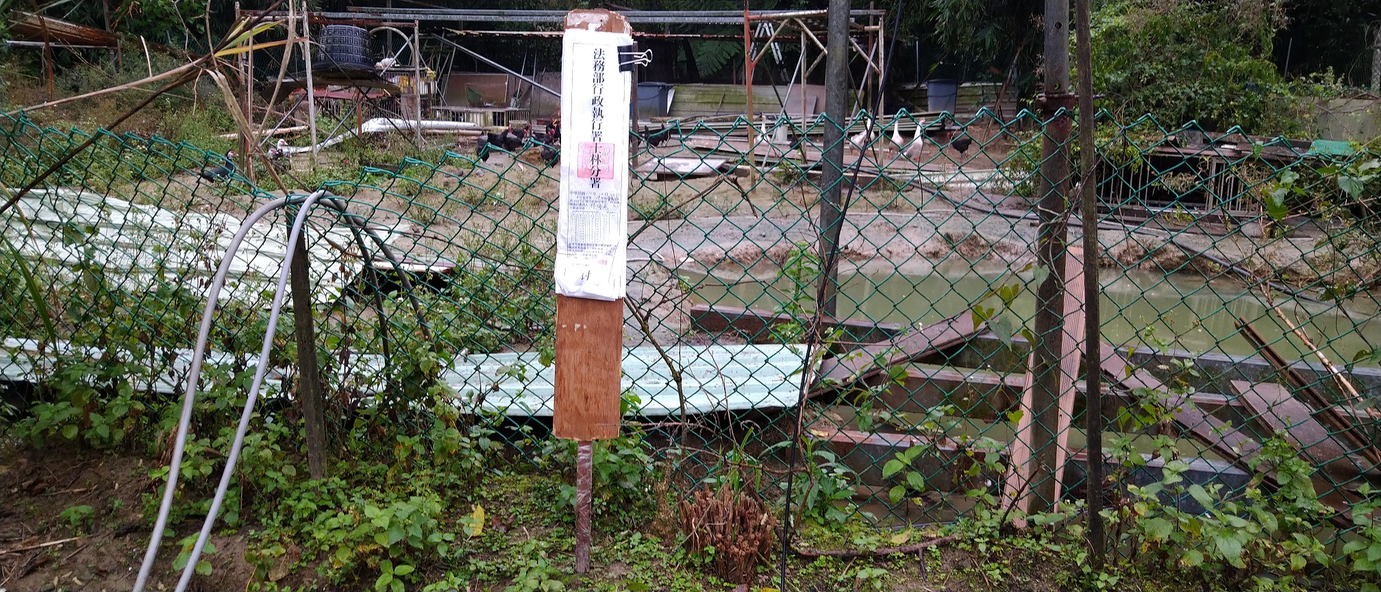 圖片已下架