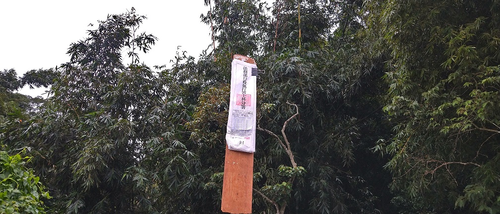 圖片已下架