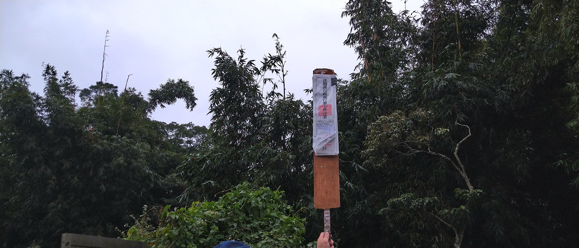 圖片已下架
