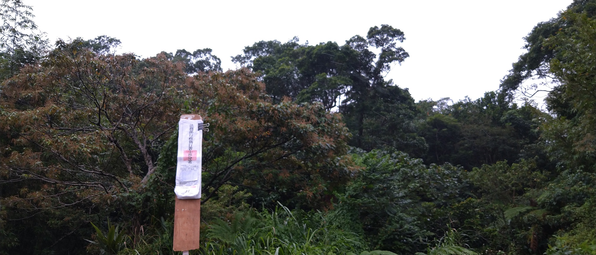 圖片已下架