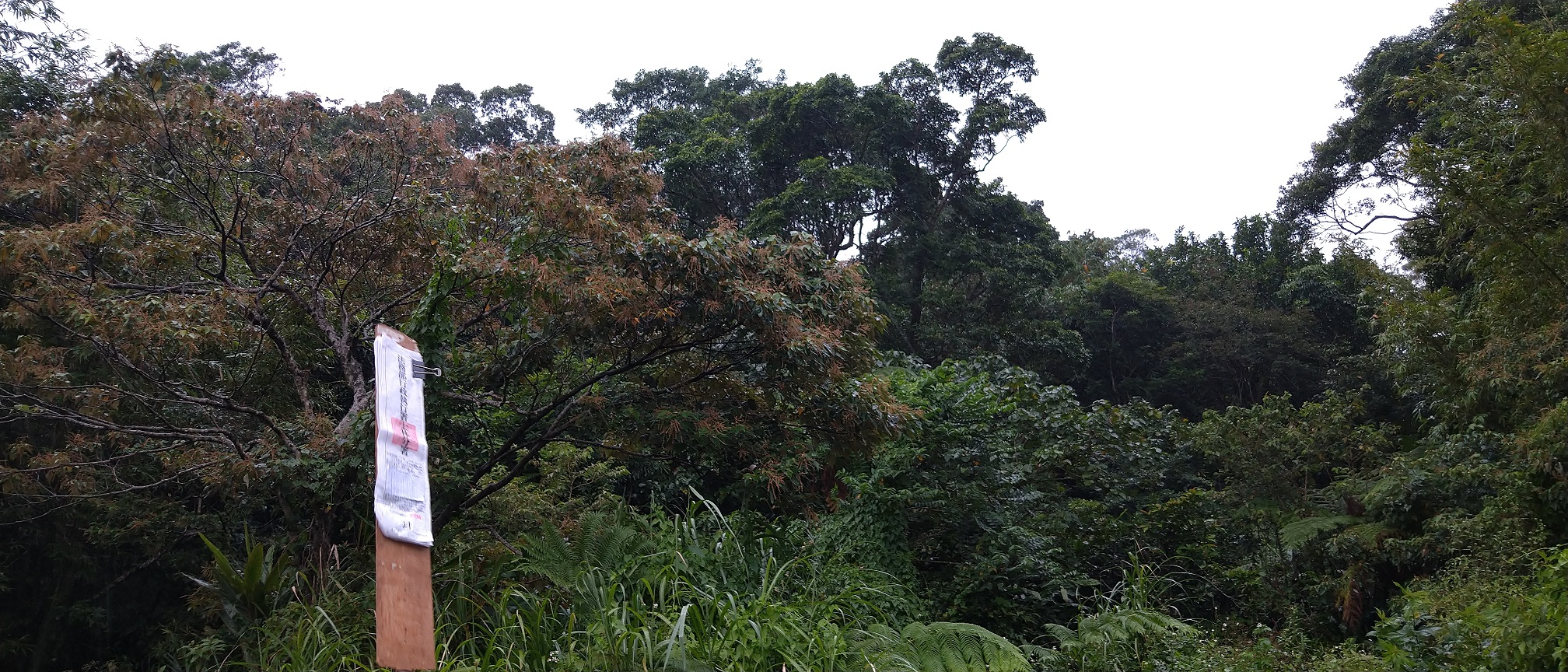 圖片已下架