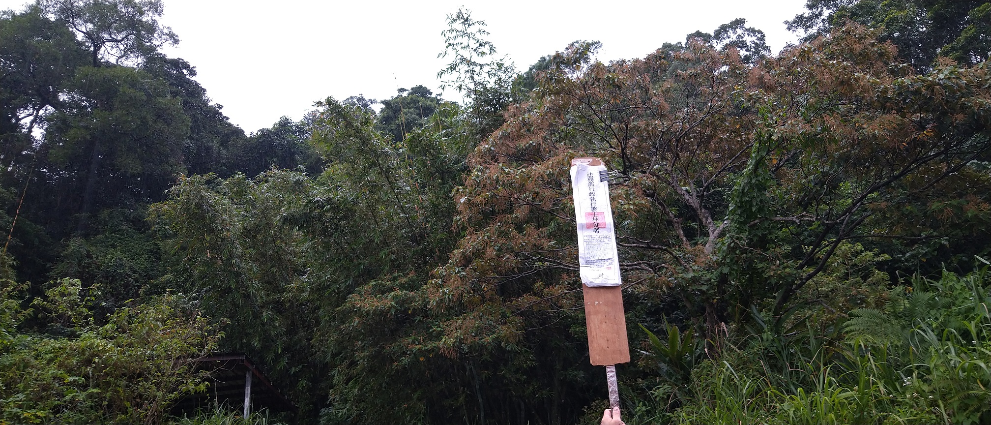 圖片已下架