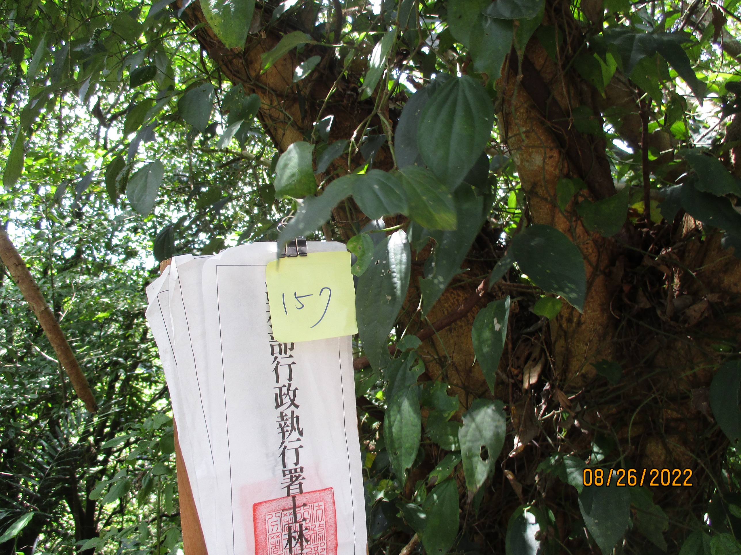 圖片已下架