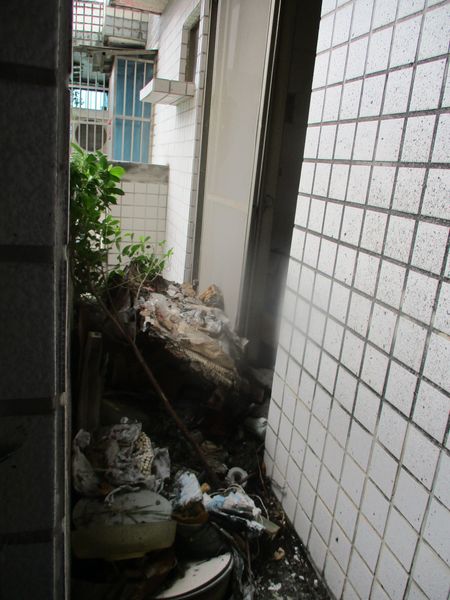 圖片已下架