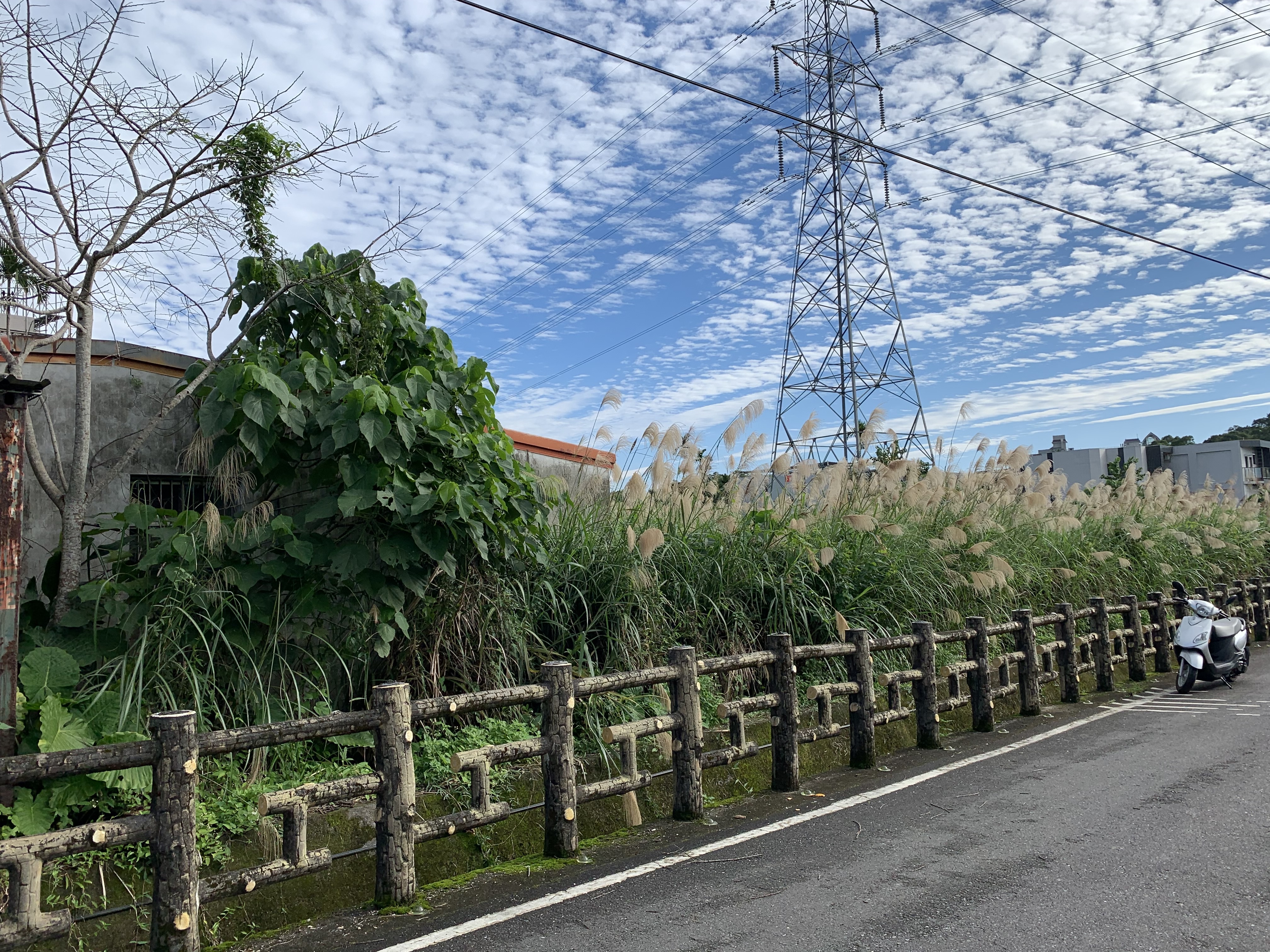 圖片已下架