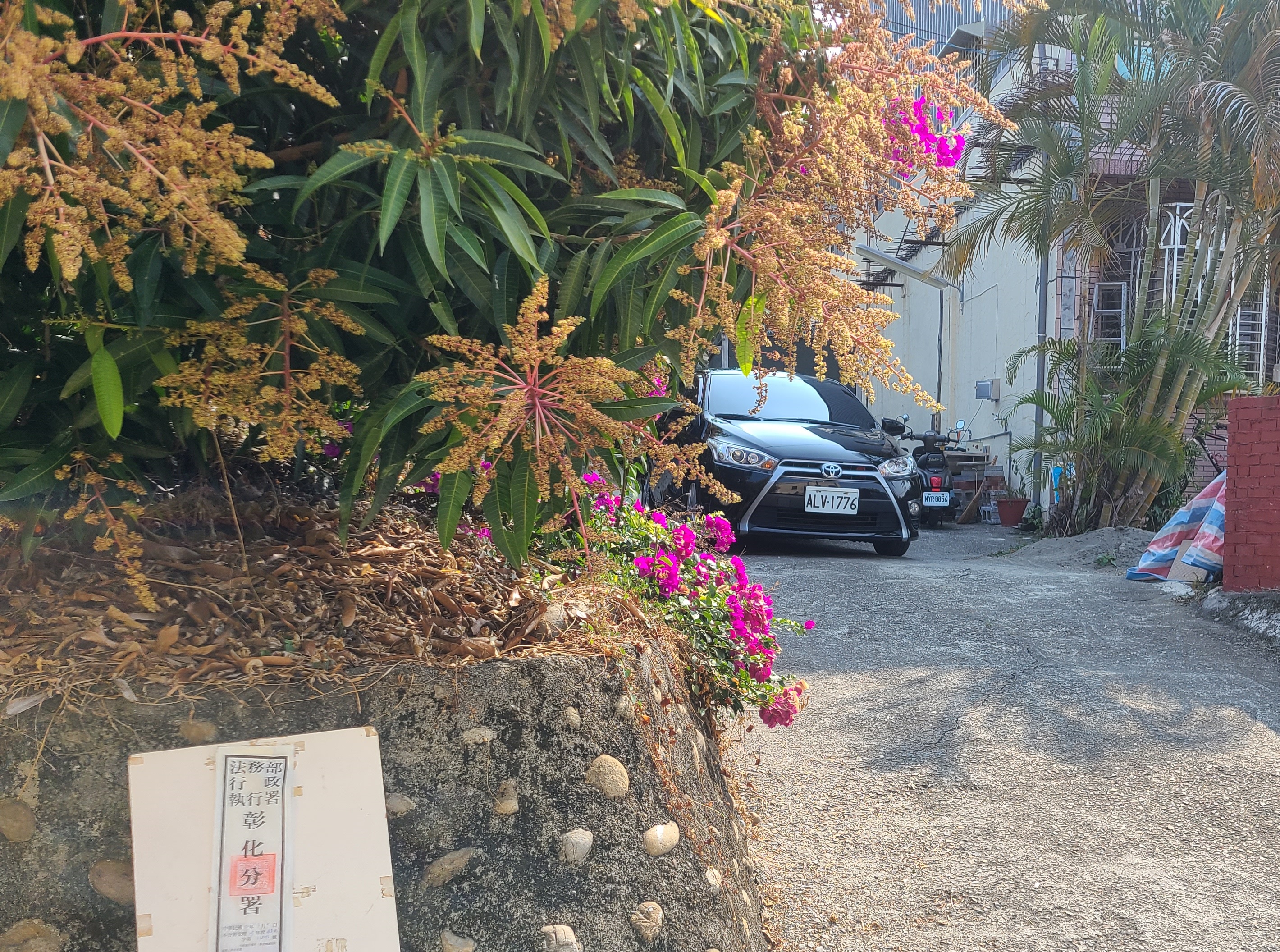 圖片已下架