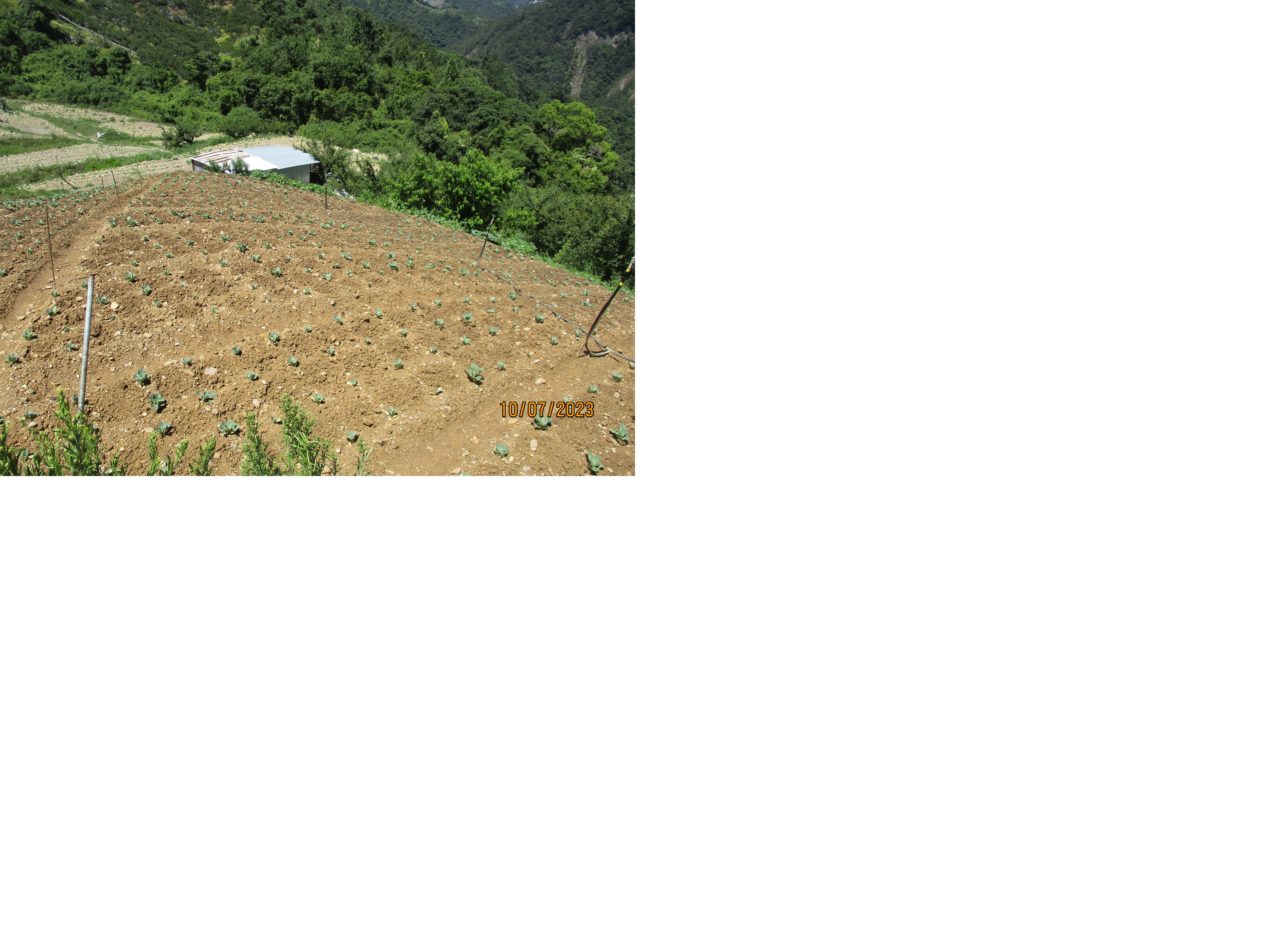 圖片已下架