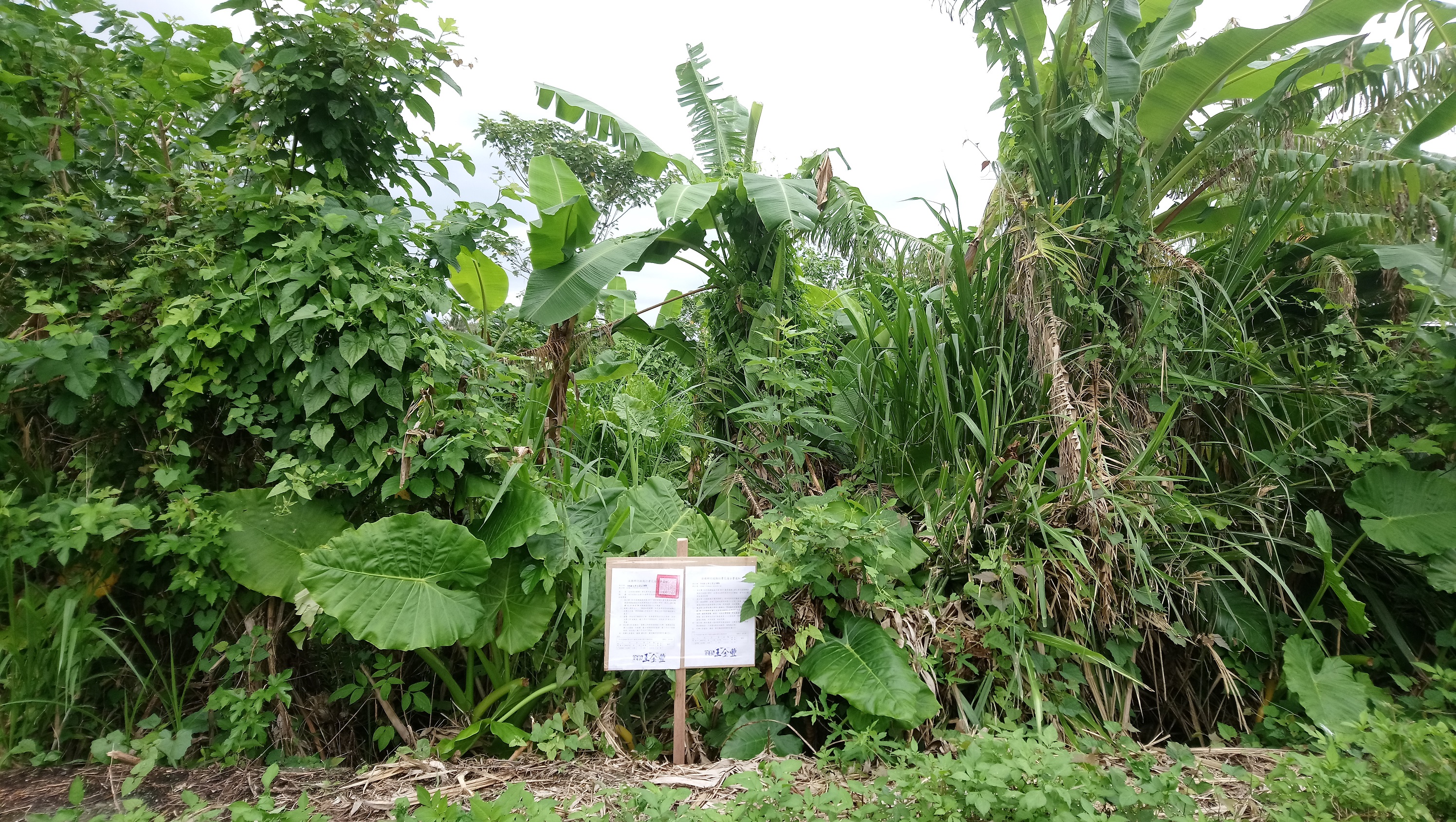 圖片已下架
