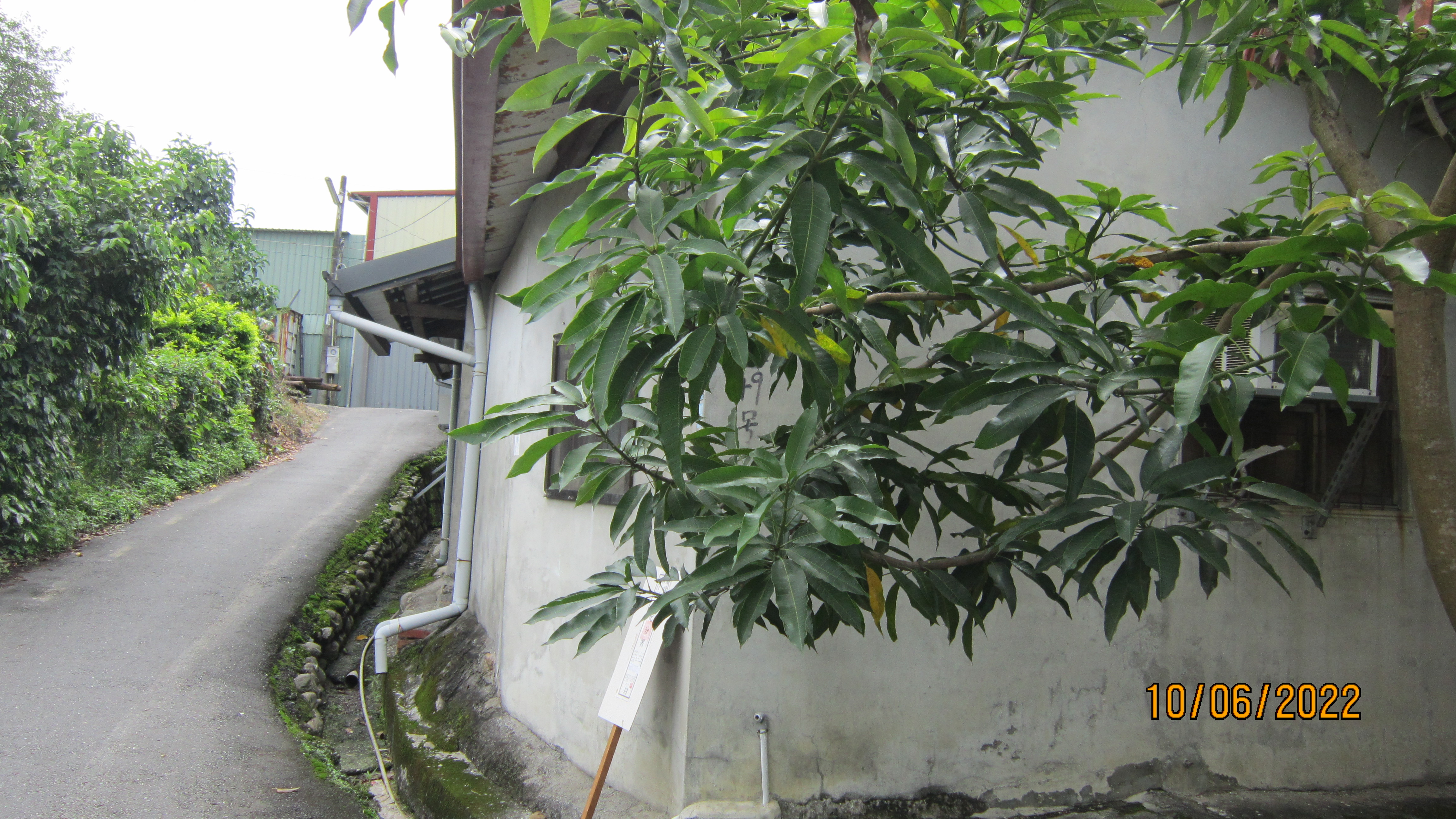 圖片已下架