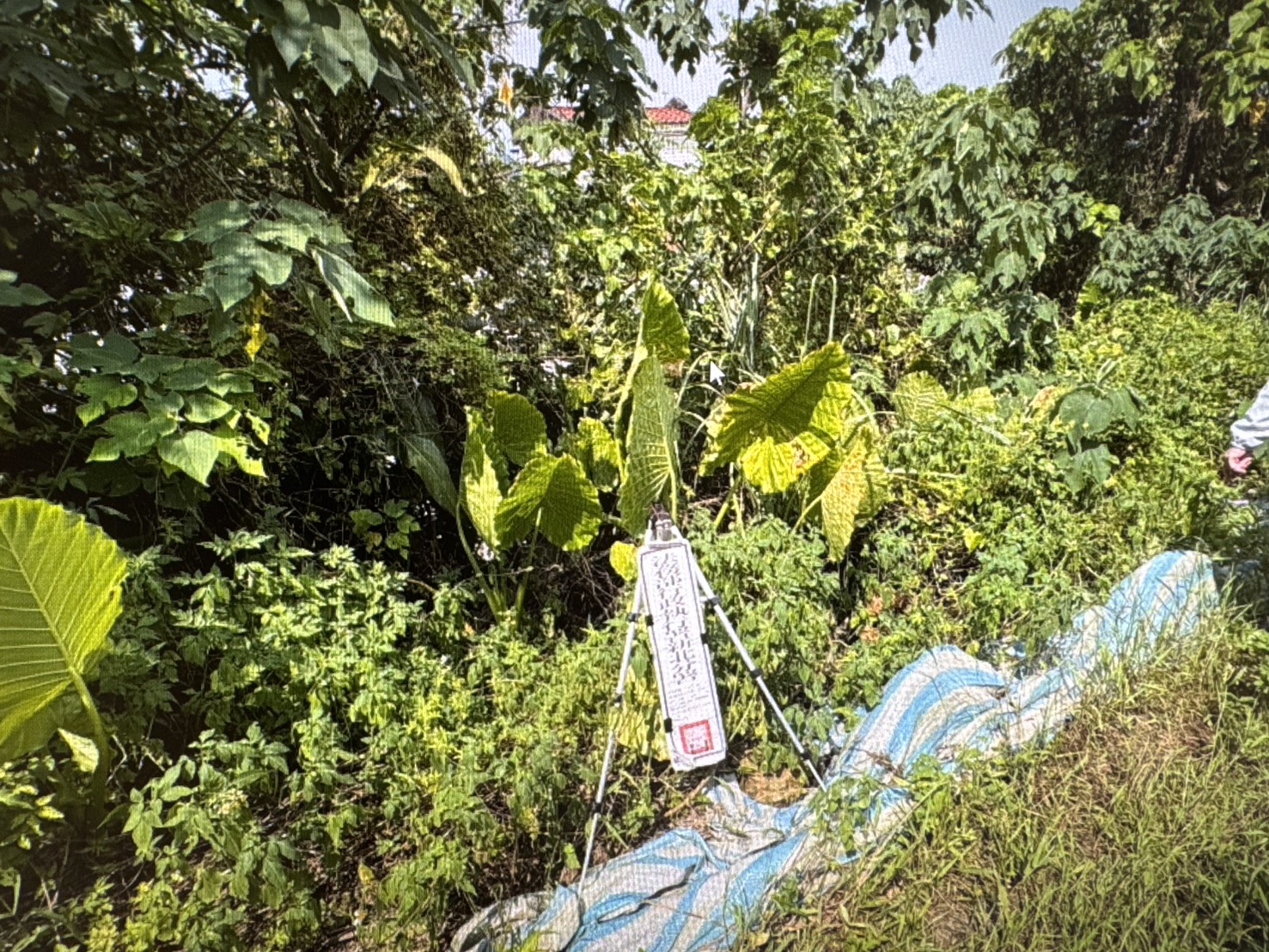 圖片已下架