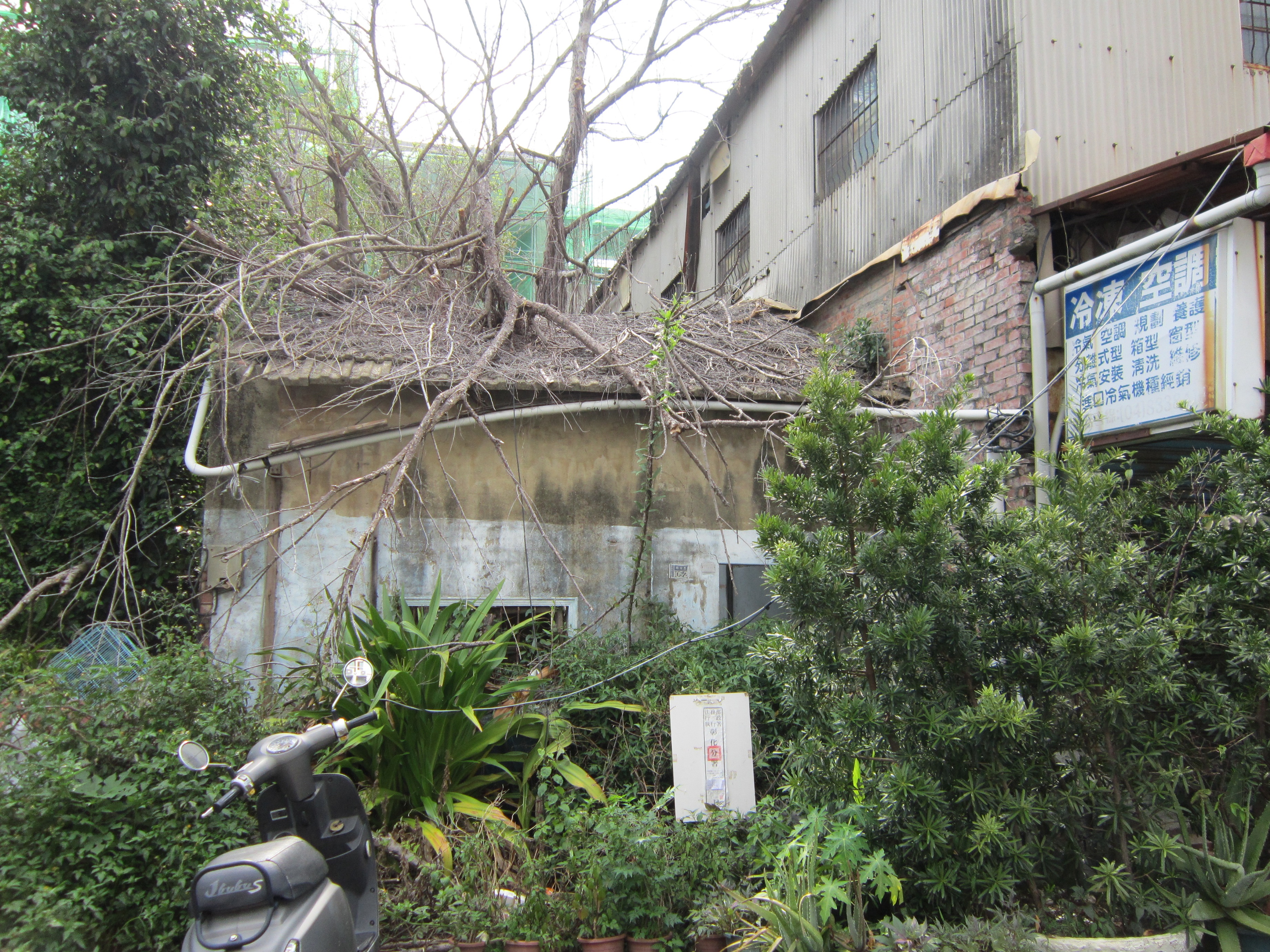 圖片已下架