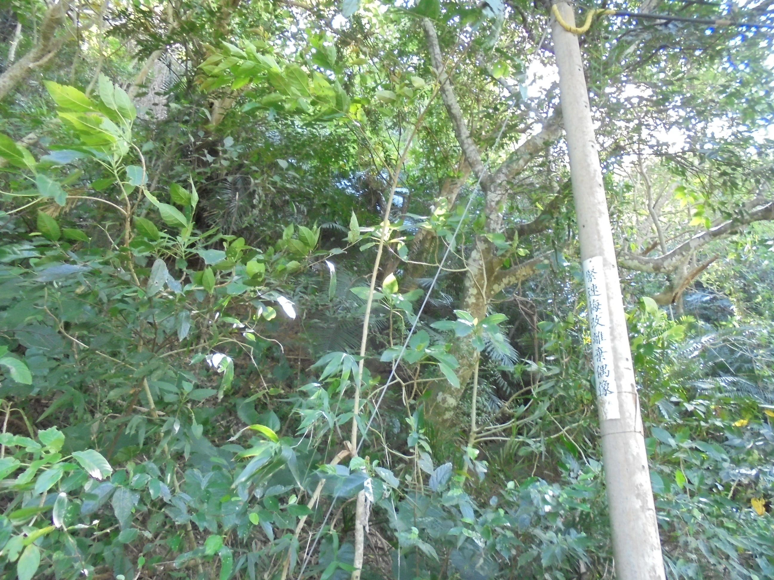 圖片已下架