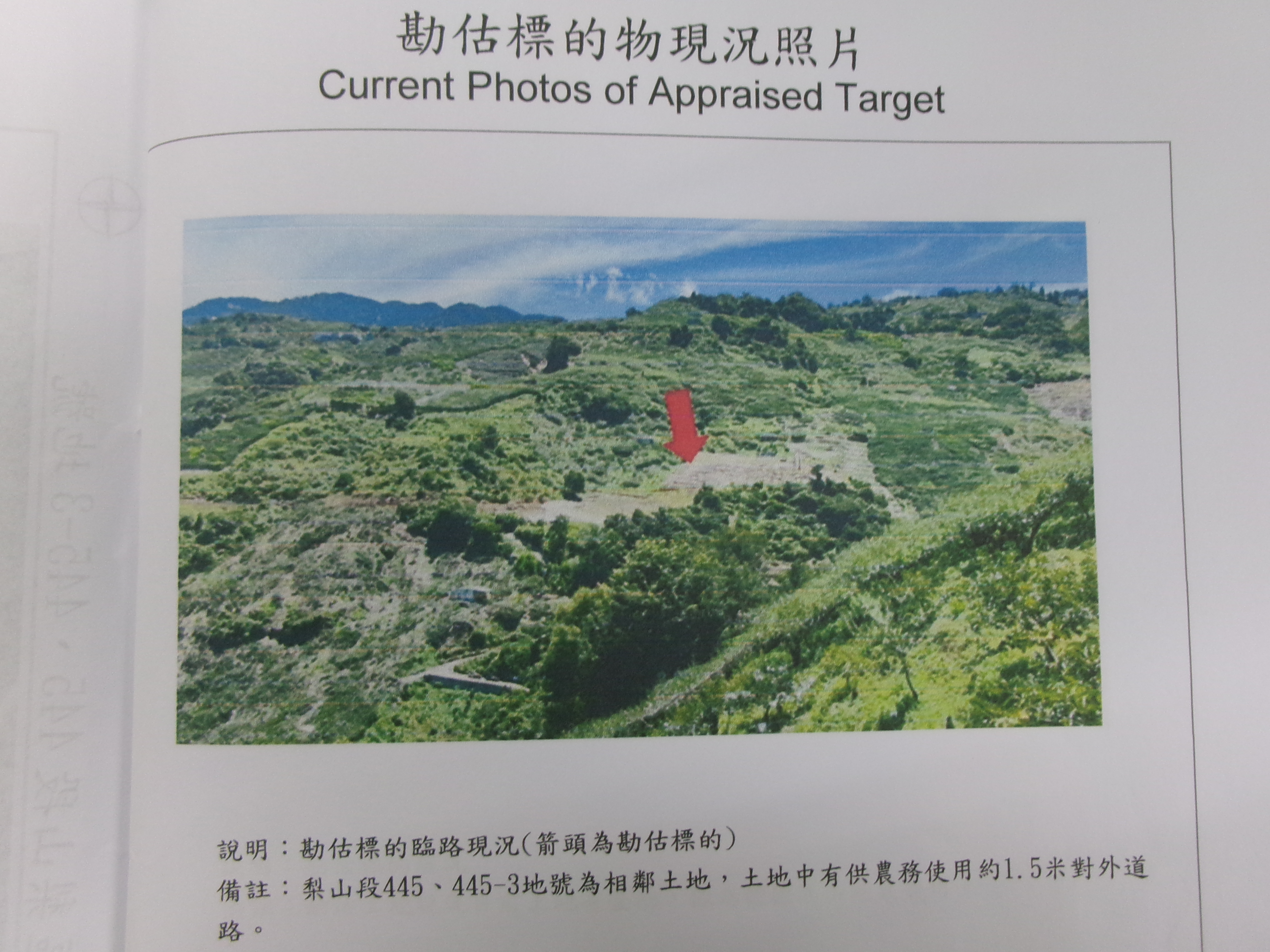 圖片已下架