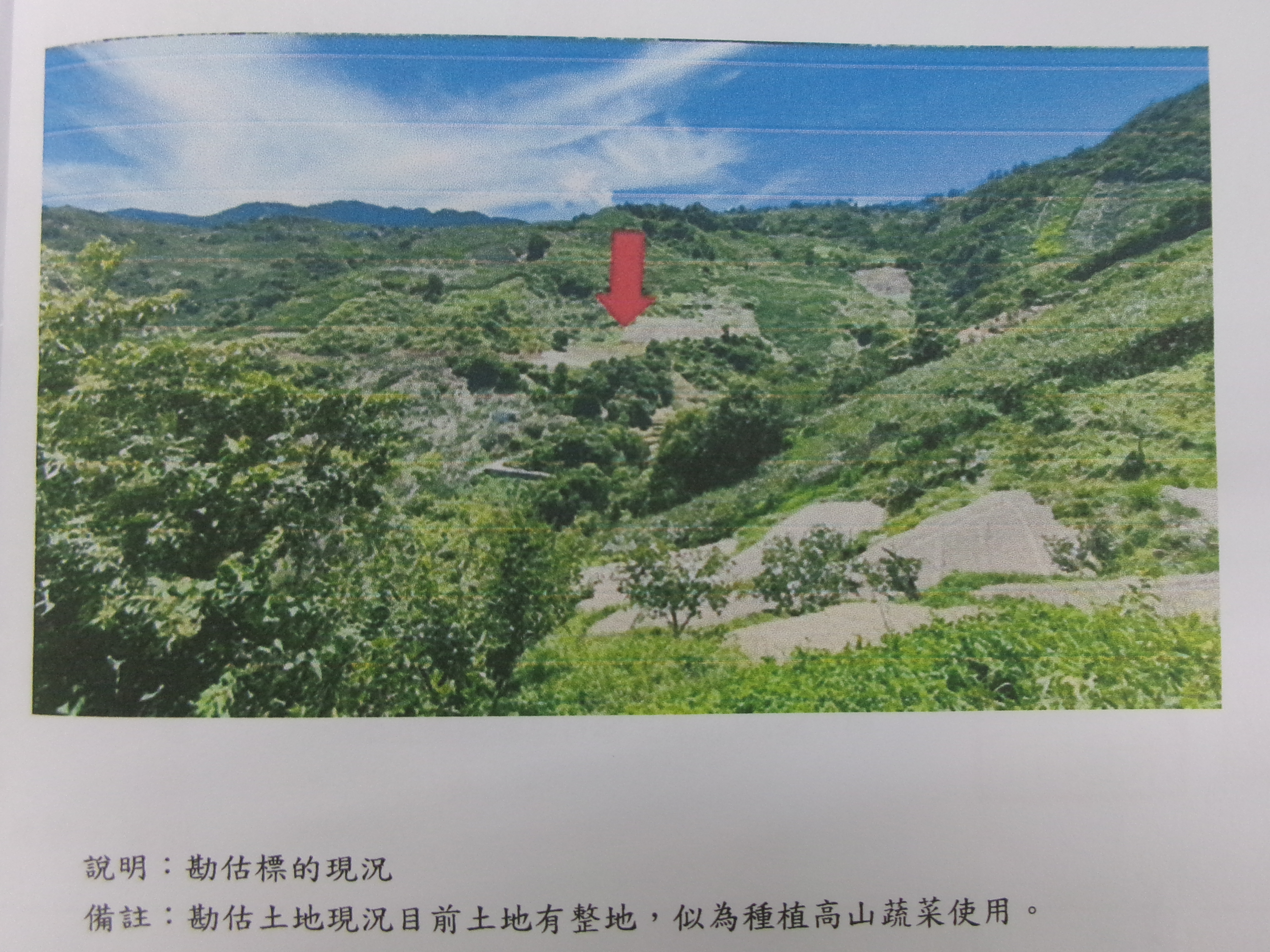 圖片已下架