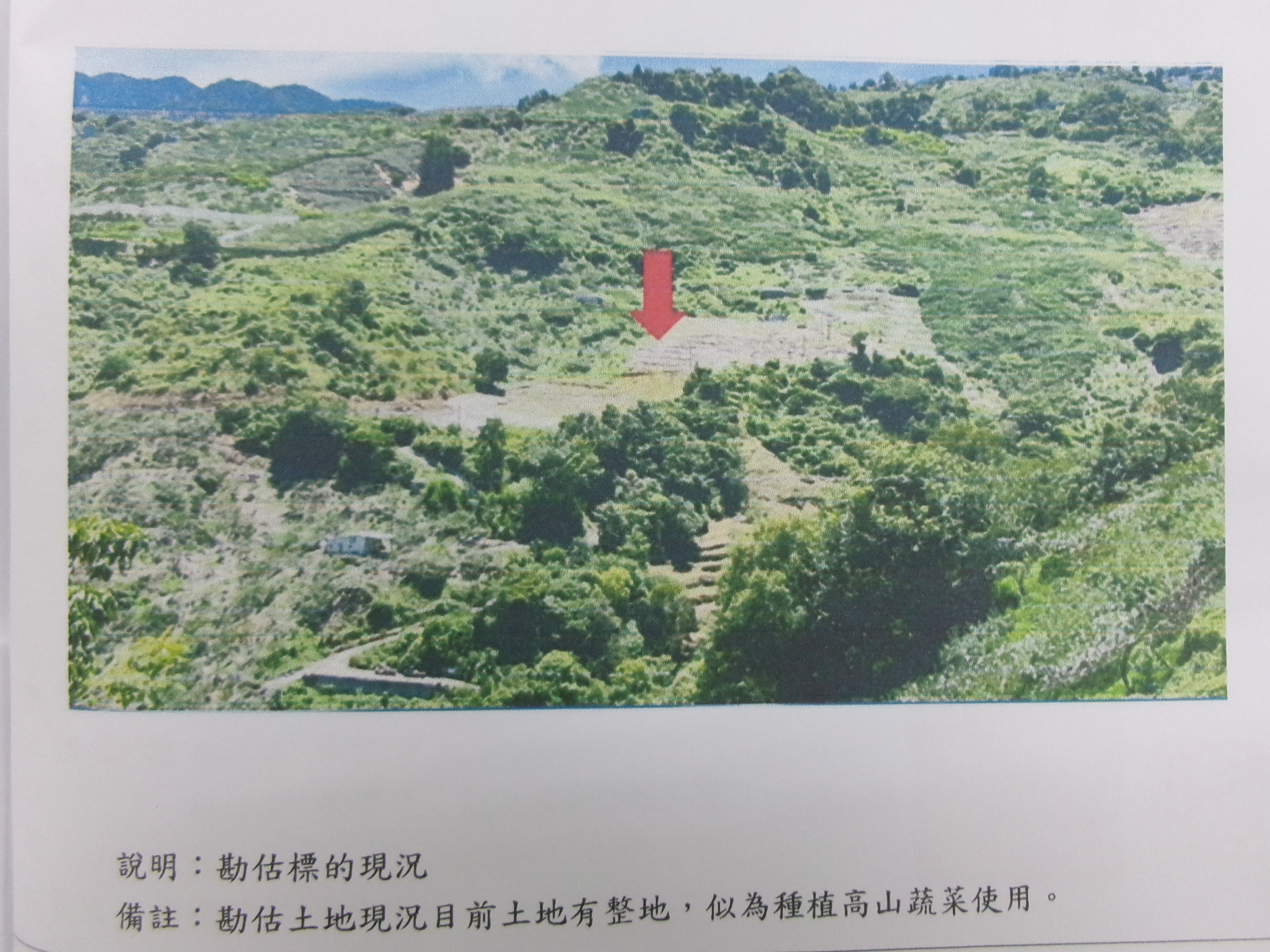 圖片已下架