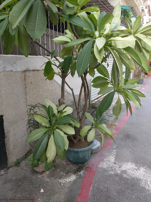 圖片已下架