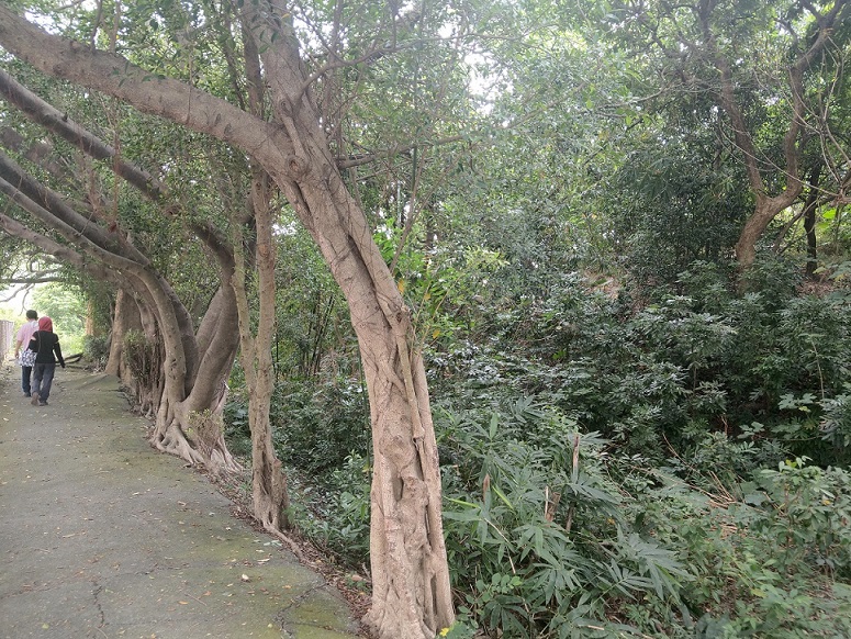 圖片已下架