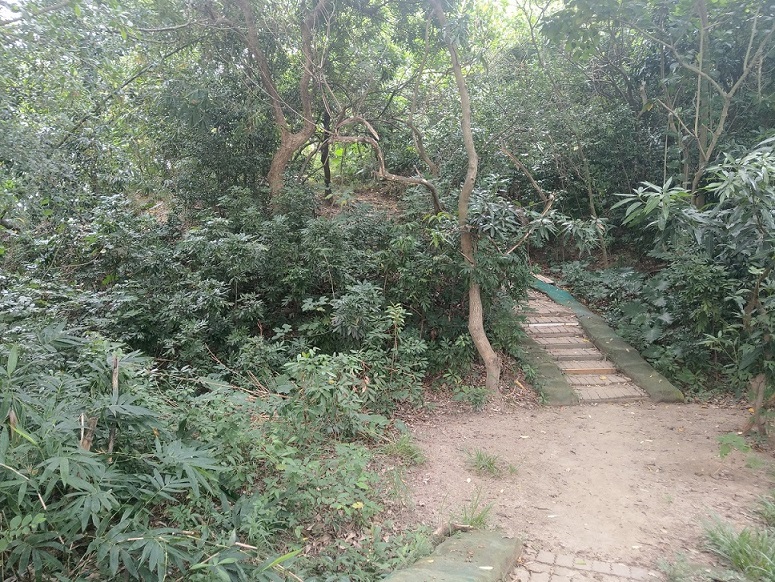 圖片已下架