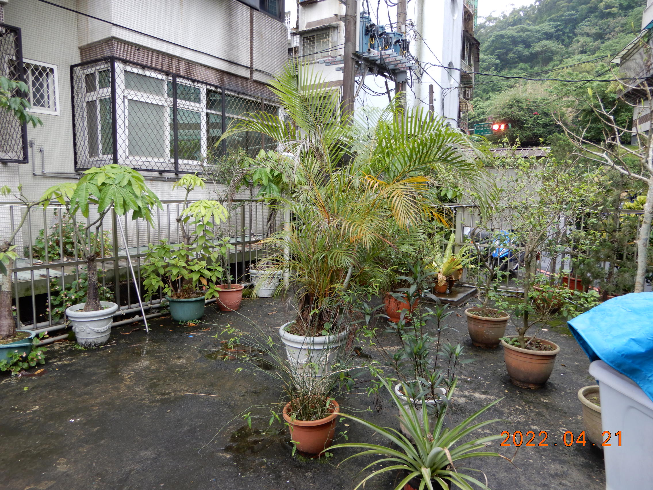 圖片已下架