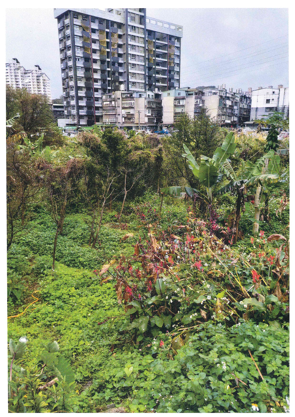 圖片已下架