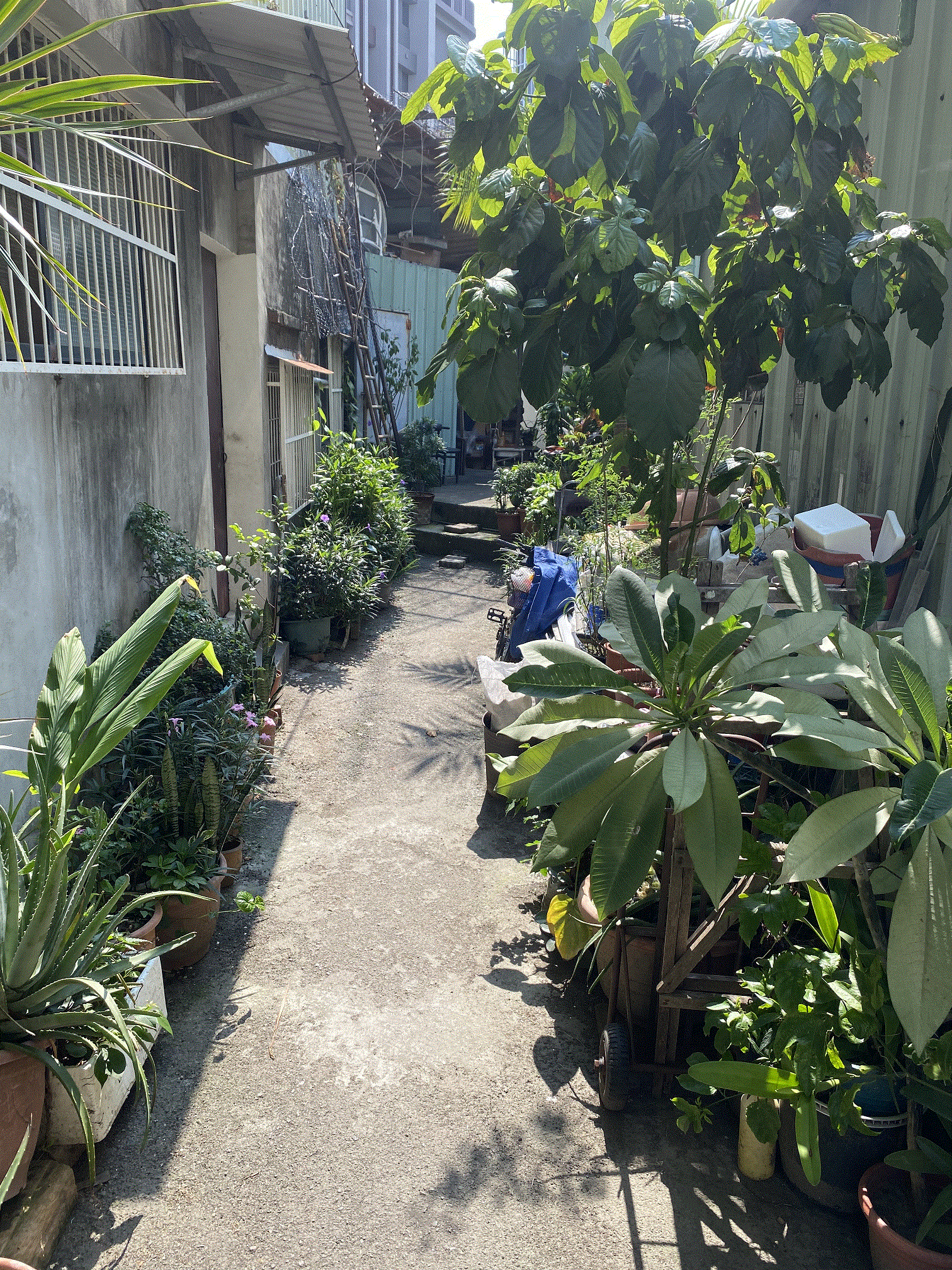 圖片已下架