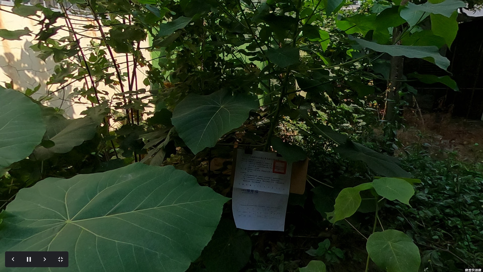 圖片已下架