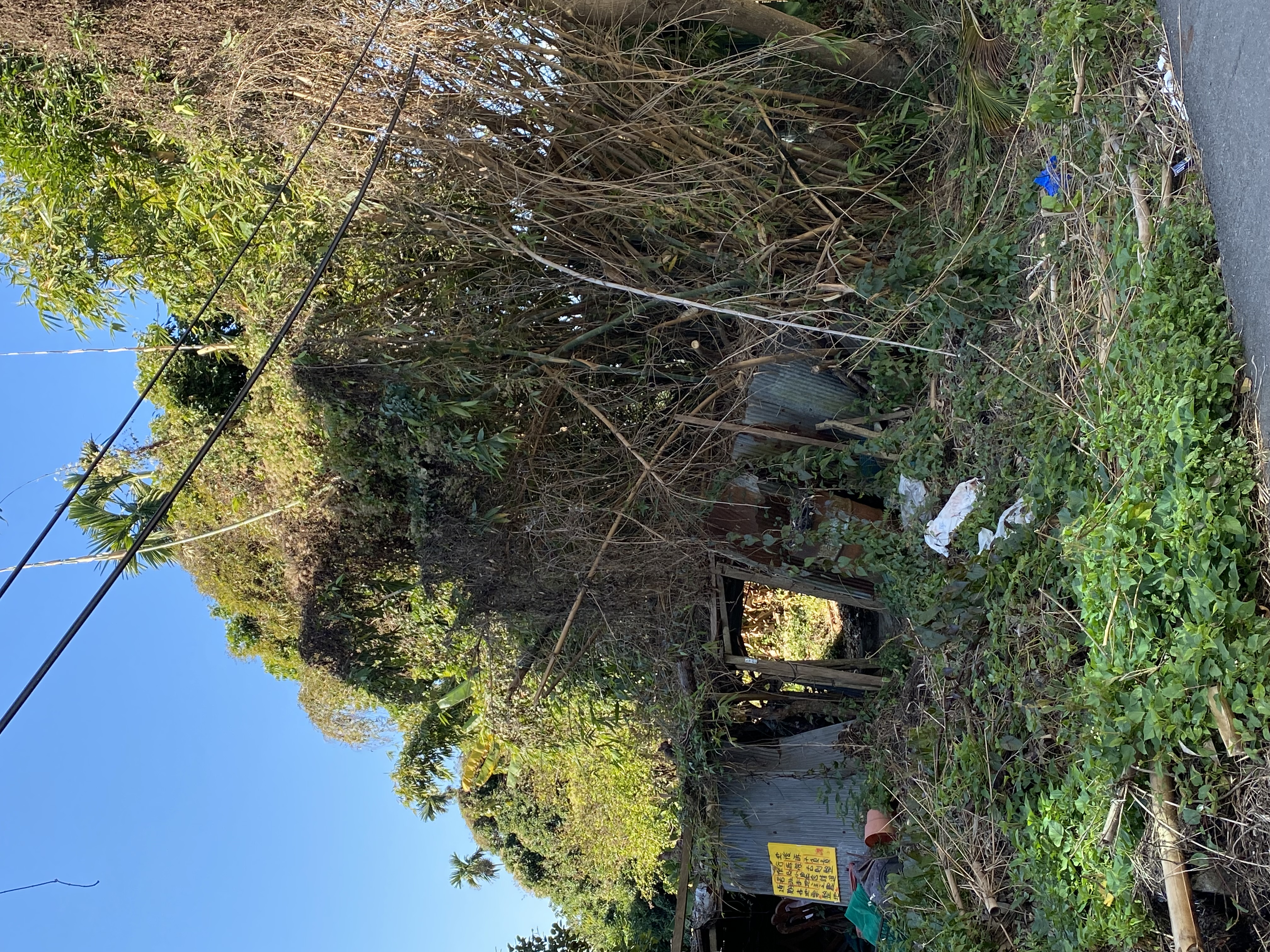 圖片已下架