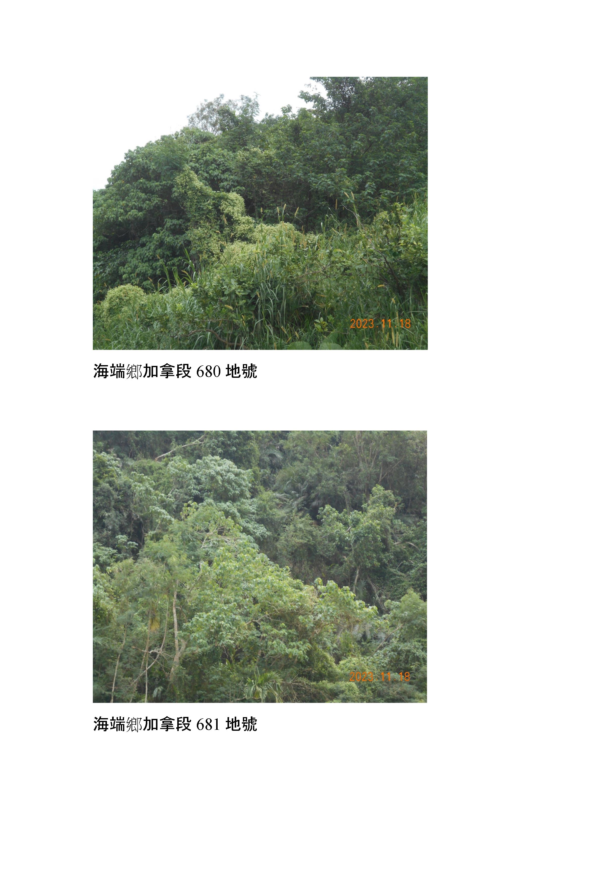 圖片已下架