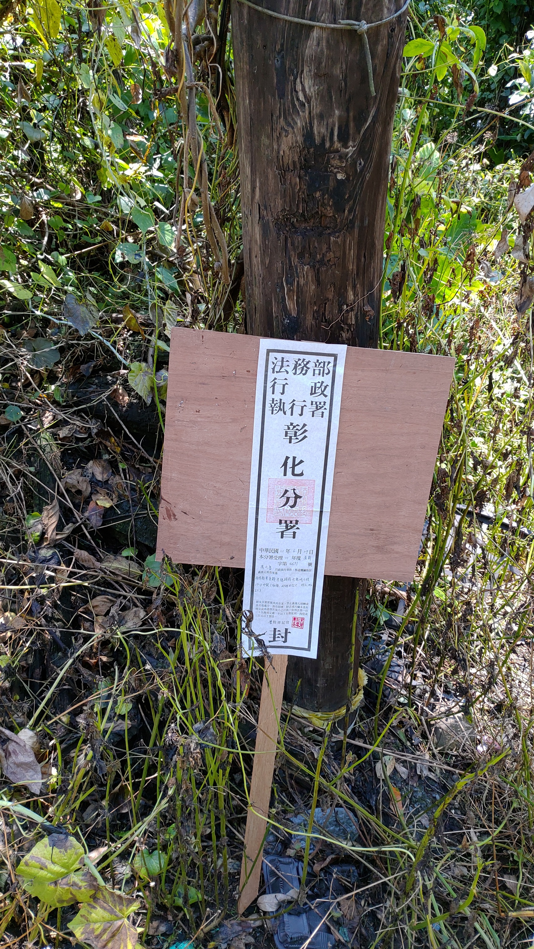 圖片已下架