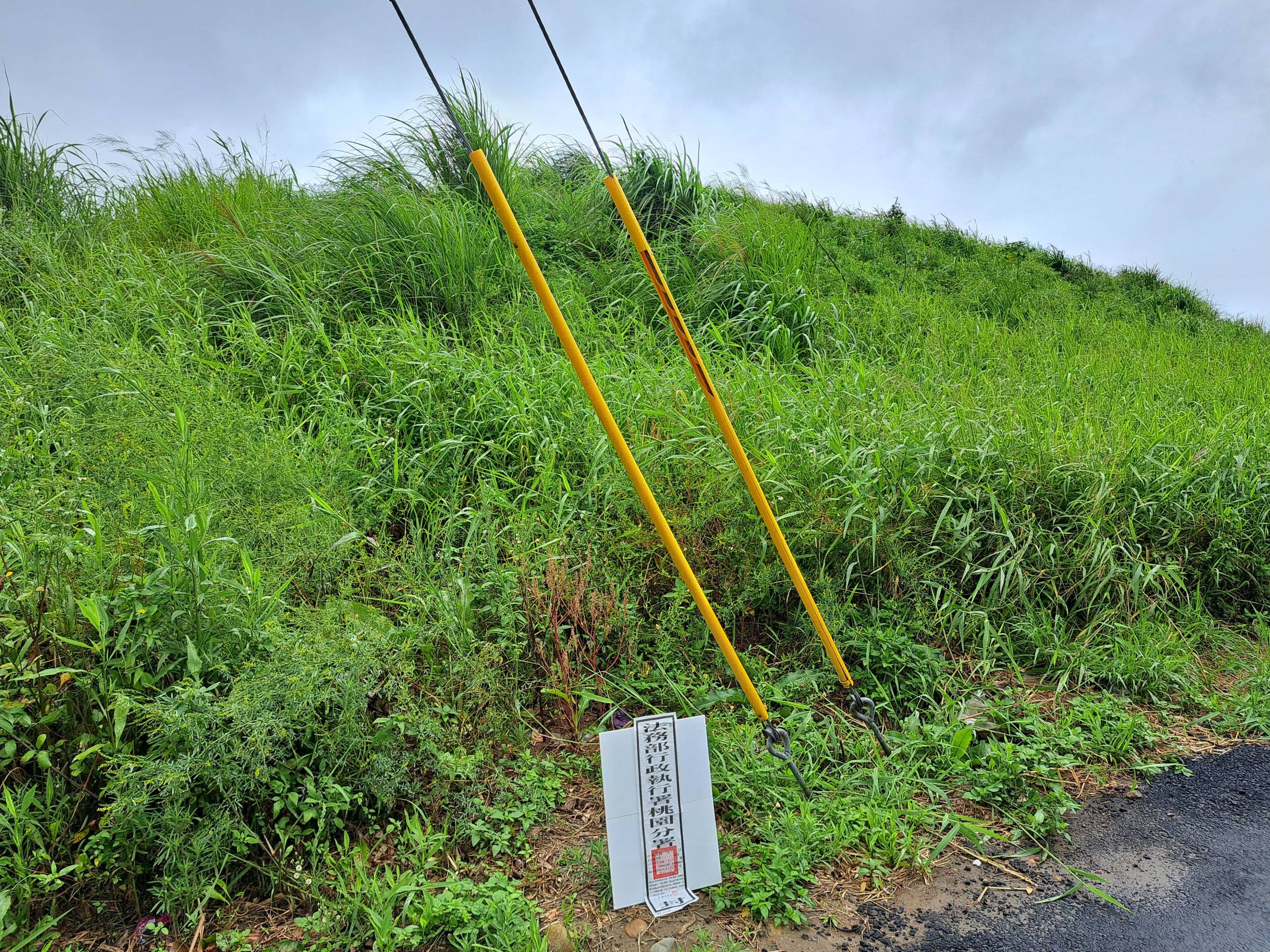 圖片已下架