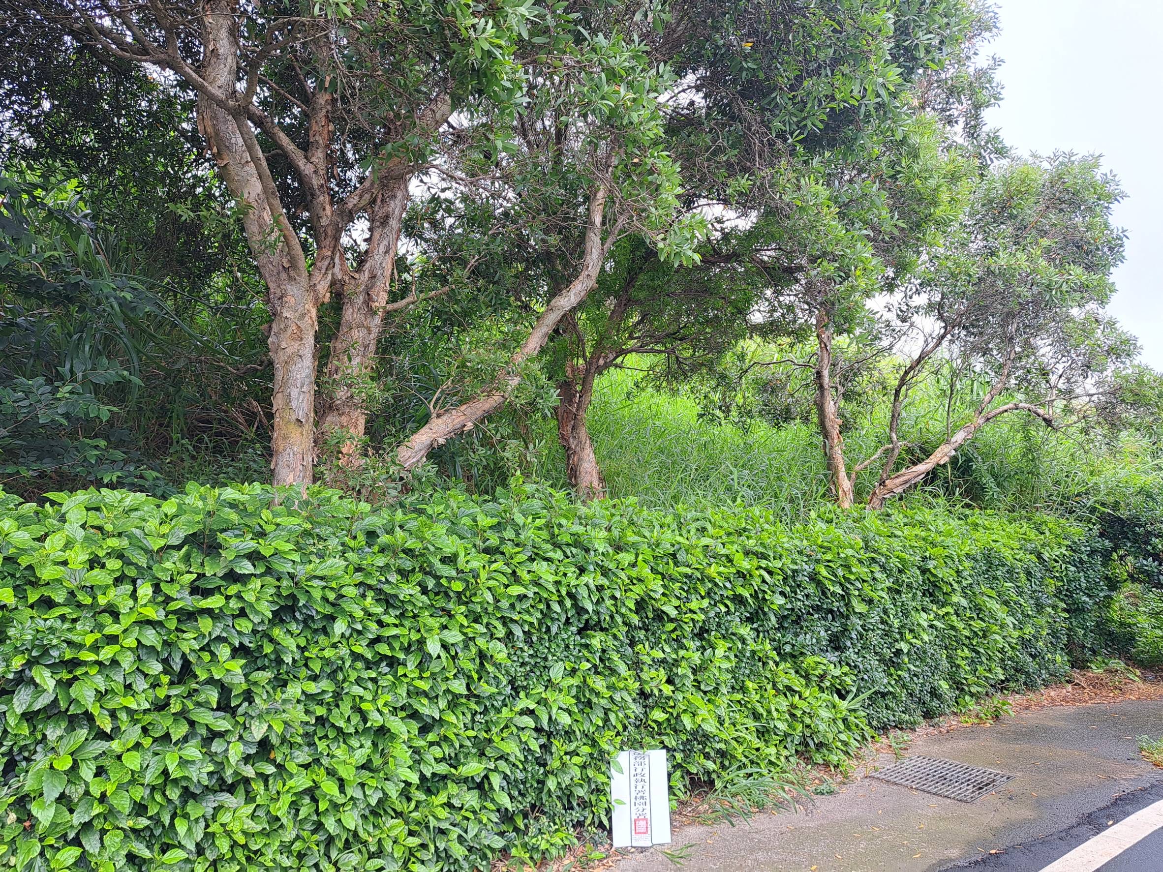 圖片已下架