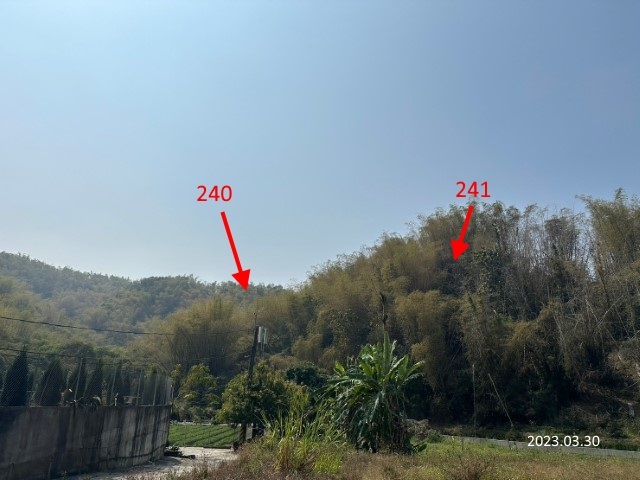 圖片已下架