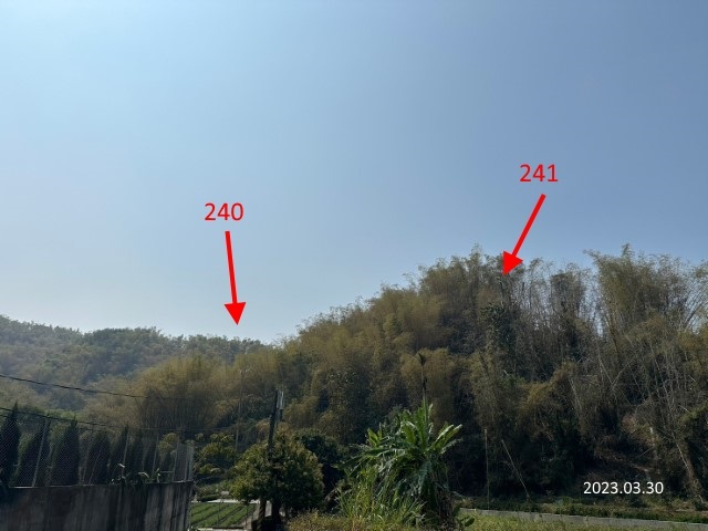 圖片已下架