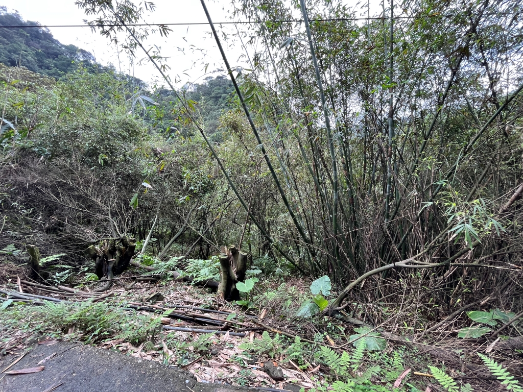 圖片已下架