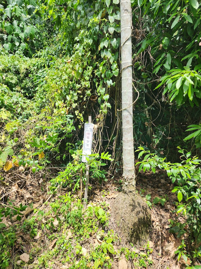 圖片已下架
